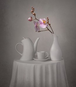 Te-stund med rosa orkideer av Margareth Perfoncio