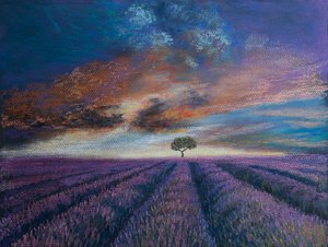 Lavendelfelt i Normandie, 2020 (pastell)