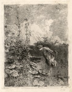 Botanikeren