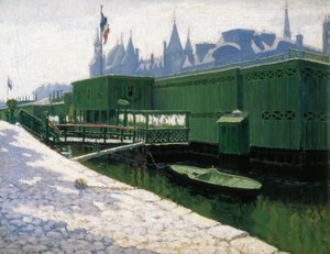 Grønne bad i Paris av Maria Pidelaserra Brias
