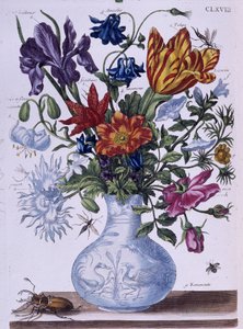 Bille og forskjellige blomster - dess. av Maria Sibylla Merian, n.d., ca. slutten av 1700-tallet av Maria Sibylla Merian