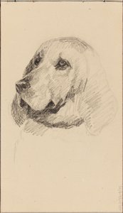 Hode av en hund av Maria Wiik