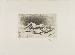  av Mariano Fortuny y Marsal