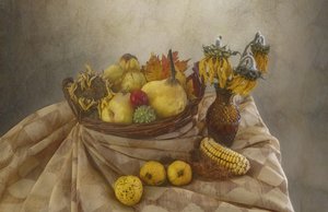  av Marie-anne Stas