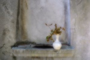 Tørkede urter – Alcove av Marie-anne Stas