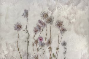 Blomster i myke pastellfarger av Marie-anne Stas
