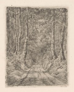 Skog langs en nedsunket vei av Marie Adolphine van der Goes van Dirxland