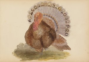 Madame B-albumet