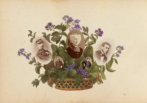 The Madame B Album, 1870-tallet.