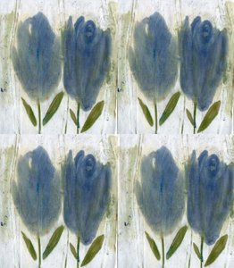 Blå tulipaner