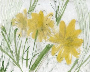 Blomster Marina