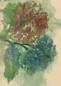 Hortensia, 2022 (olje på papir)