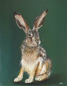 Portrett av en brun hare