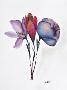 Fargerike akvarellblomster