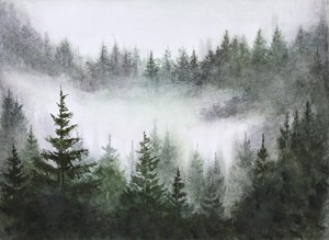 Ro i den tåkete skogen
