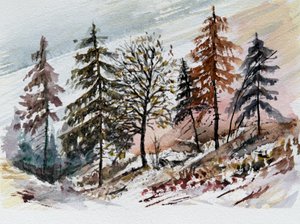 Snødekt morgengry i skogen