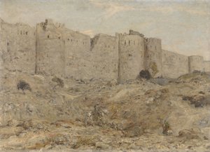 Bymuren i India av Marius Bauer