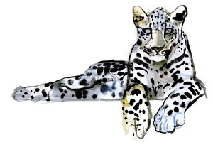 Arabisk leopard, 2008 av Mark Adlington