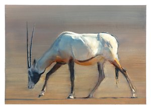 Arabian Oryx, 2010 (olje på papir) av Mark Adlington