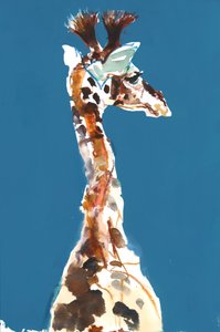 Baby Masai Giraffe, 2018 av Mark Adlington