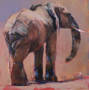 Bak, Loisaba, 2018 av Mark Adlington