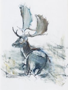 Buck in the Grass, 2006 (charcoal und conte på papir) av Mark Adlington