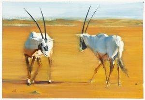 Circling Arabian Oryx, 2010 (olje på papir) av Mark Adlington