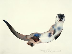 Curious Otter, 2003