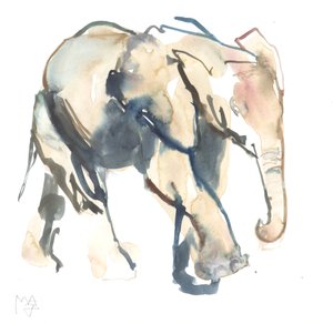 Elefantkalv, Loisaba, 2017 (akvarell på papir)) av Mark Adlington