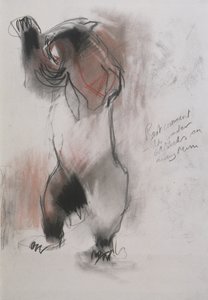Grizzly, 1995 (kull, grafitt og conte på papir) av Mark Adlington
