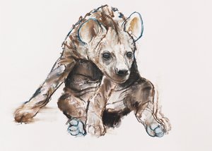 Hyaena Pup (hodet ned), 2019 av Mark Adlington