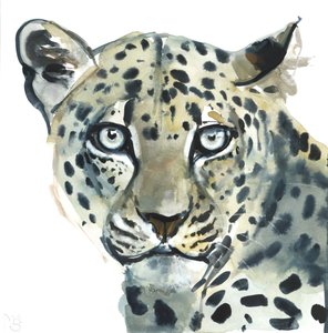 Leopard, 2015, (akvarell på papir) av Mark Adlington