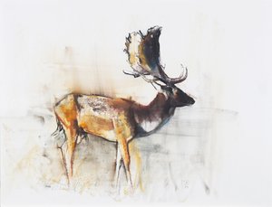 Magnificent Fallow Buck, 2006 (kull und conte på papir) av Mark Adlington