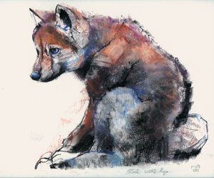 Polish Wolf Pup, 2001 (kull und conte på papir) av Mark Adlington