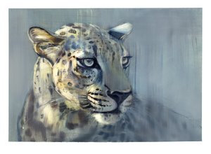 Predator II (Arabian Leopard), 2009 (olje på papir)
