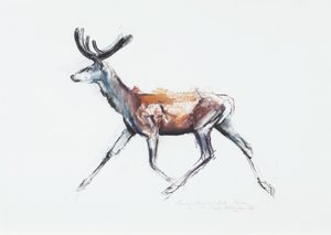 Running Stag in fløyel, Polsen, 2006 (charcoal und conte på papir) av Mark Adlington