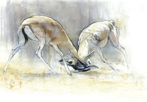 Sand Gazelles, 2009 (conte & kull på papir) av Mark Adlington