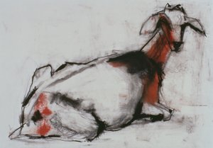 Sittende geit, 1998 (conte og kull på papir) av Mark Adlington