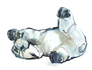 Snow Rub (isbjørn), 2013 (akvarell og gouache på papir) av Mark Adlington