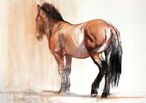 Stativ (Przewalski), 2013, (pastell og kull på papir)