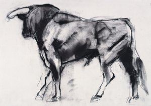 Toro Azul, studie (kull på papir) av Mark Adlington