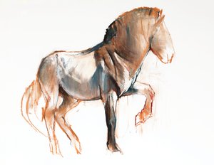 Turning (Przewalski), 2013, (pastell og kull på papir)
