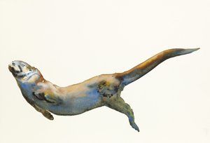 Velvet, 2014, (akvarell på papir) av Mark Adlington