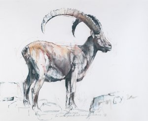 Venerando Stambecco, 2006 (kull und conte på papir) av Mark Adlington