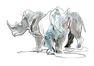 White Rhinos, Mount Etjo, 2020 av Mark Adlington