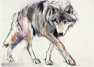Wolf (blandet media på papir) av Mark Adlington