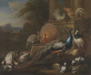 Påfugler, duer, kalkuner, høner og ender ved en klassisk ruin av Marmaduke Cradock