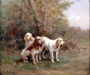 Otterhounds i et landskap av Martin Coulaud