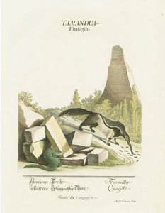  av Martin Elias Ridinger
