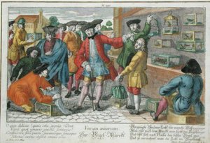 Fuglemarked (farget gravering) av Martin Engelbrecht